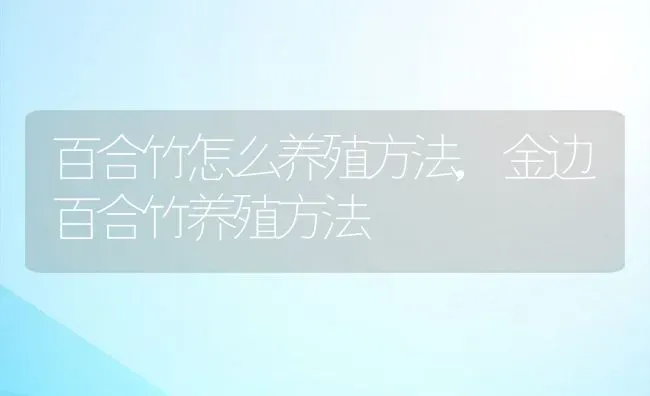 百合竹怎么养殖方法,金边百合竹养殖方法 | 养殖常见问题