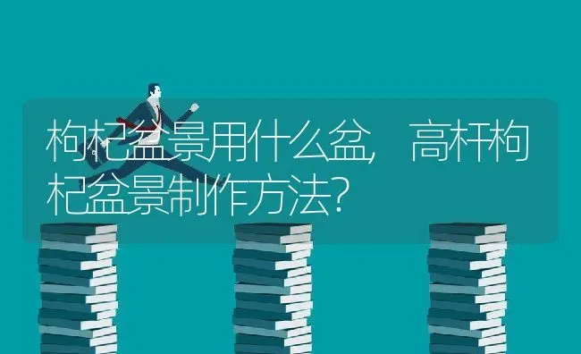 枸杞盆景用什么盆,高杆枸杞盆景制作方法？ | 养殖常见问题