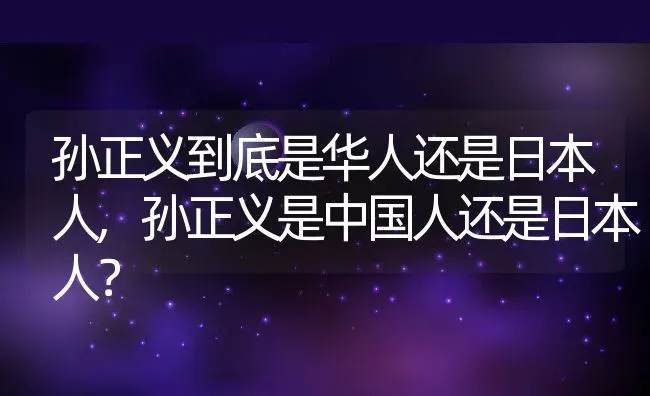 孙正义到底是华人还是日本人,孙正义是中国人还是日本人？ | 养殖常见问题