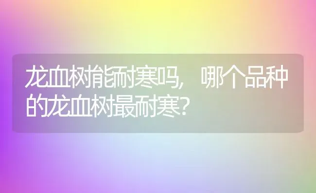 龙血树能耐寒吗,哪个品种的龙血树最耐寒？ | 养殖常见问题