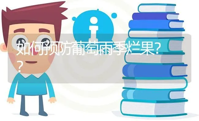 如何预防葡萄雨季烂果? ? | 养殖问题解答