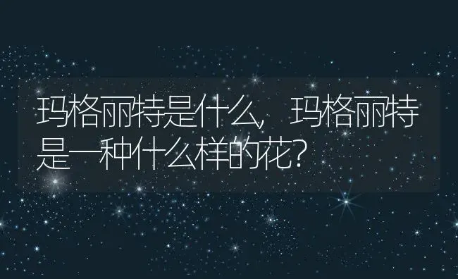 玛格丽特是什么,玛格丽特是一种什么样的花？ | 养殖常见问题