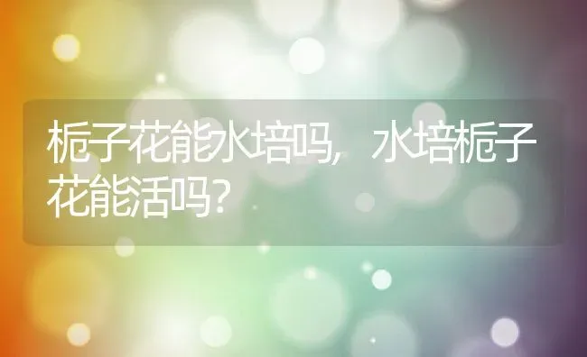 栀子花能水培吗,水培栀子花能活吗？ | 养殖常见问题