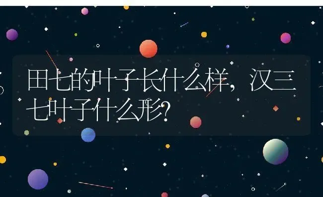 田七的叶子长什么样,汉三七叶子什么形？ | 养殖常见问题