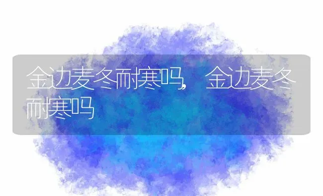 金边麦冬耐寒吗,金边麦冬耐寒吗 | 养殖常见问题