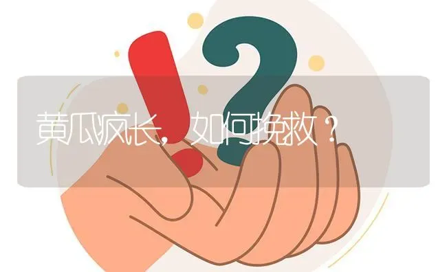 黄瓜疯长,如何挽救? | 养殖问题解答