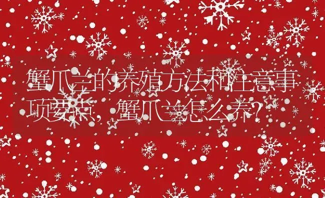 蟹爪兰的养殖方法和注意事项要点,蟹爪兰怎么养？ | 养殖常见问题