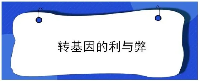 转基因的利与弊 | 生活常识