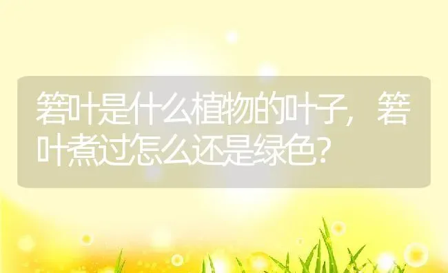 箬叶是什么植物的叶子,箬叶煮过怎么还是绿色？ | 养殖常见问题