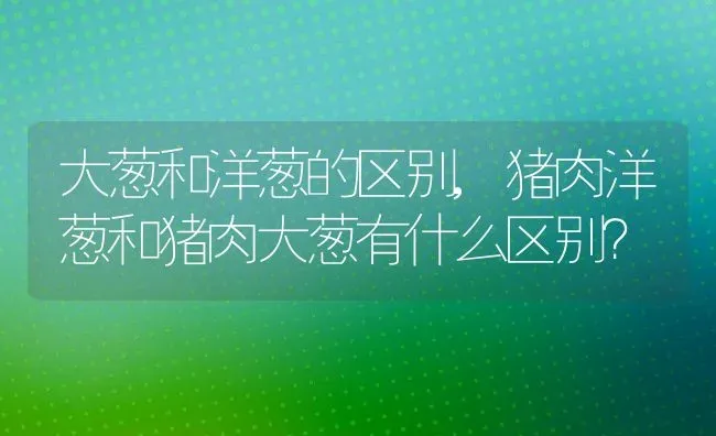 大葱和洋葱的区别,猪肉洋葱和猪肉大葱有什么区别？ | 养殖常见问题