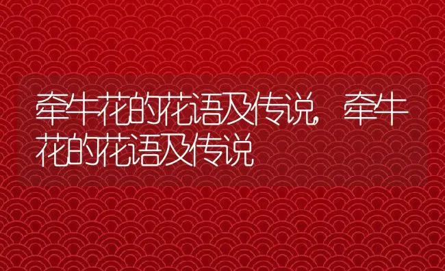 牵牛花的花语及传说,牵牛花的花语及传说 | 养殖常见问题