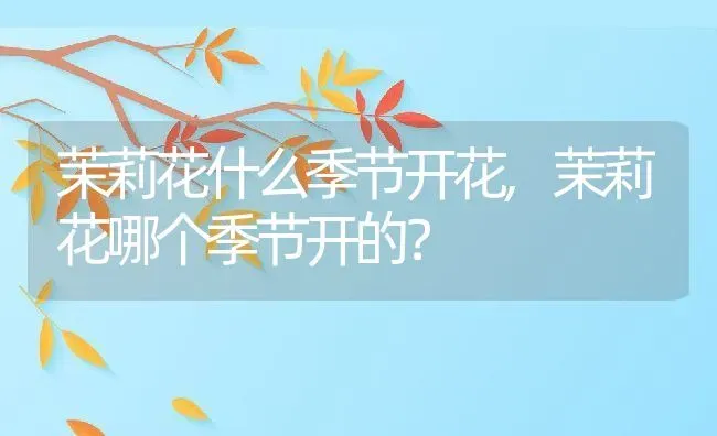 茉莉花什么季节开花,茉莉花哪个季节开的？ | 养殖常见问题
