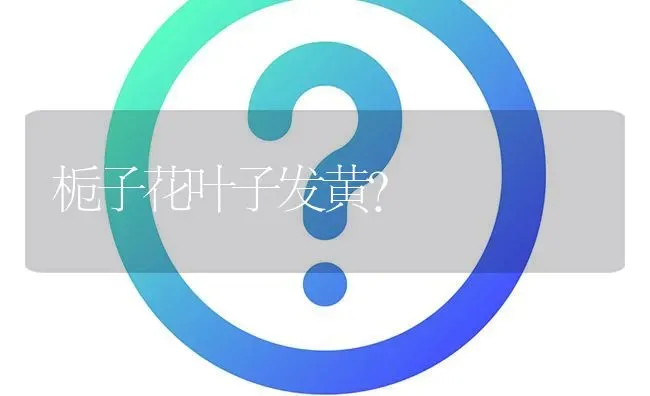 栀子花叶子发黄? | 养殖问题解答