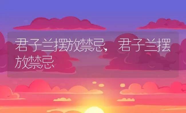 君子兰摆放禁忌,君子兰摆放禁忌 | 养殖常见问题