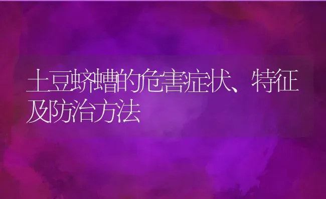 土豆蛴螬的危害症状、特征及防治方法 | 养殖常见问题