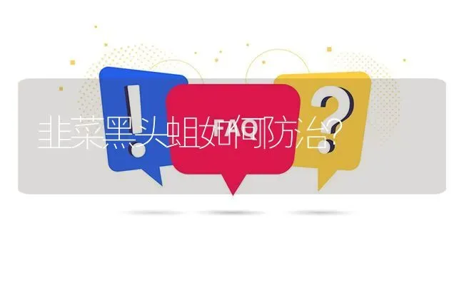 韭菜黑头蛆如何防治? | 养殖问题解答