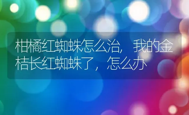 柑橘红蜘蛛怎么治,我的金桔长红蜘蛛了，怎么办 | 养殖常见问题