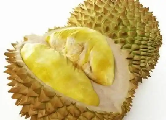 植物常识问题|榴莲的功效与作用