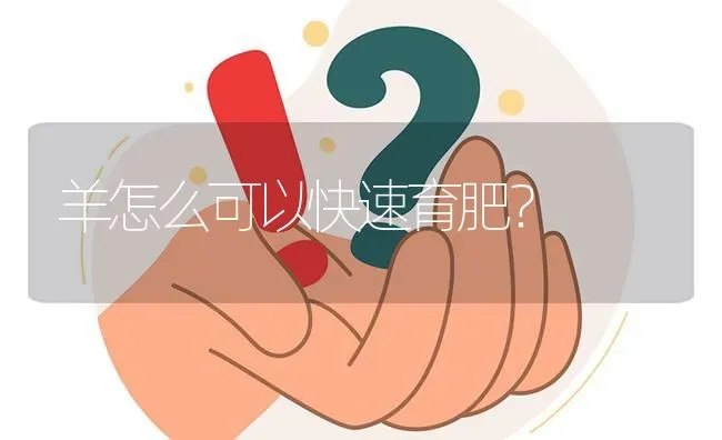 羊怎么可以快速育肥? | 养殖问题解答