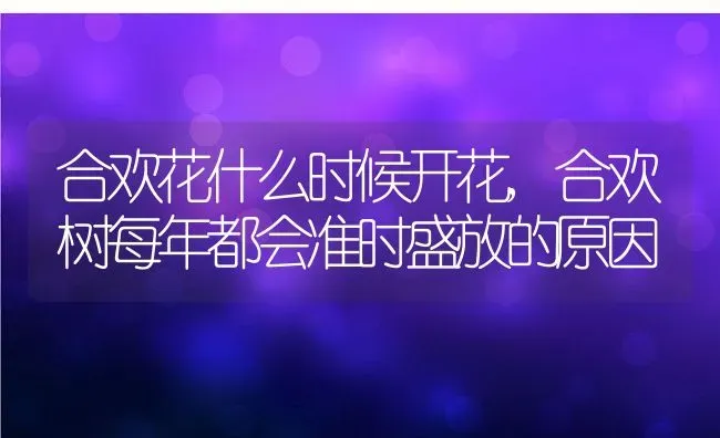 合欢花什么时候开花,合欢树每年都会准时盛放的原因 | 养殖常见问题