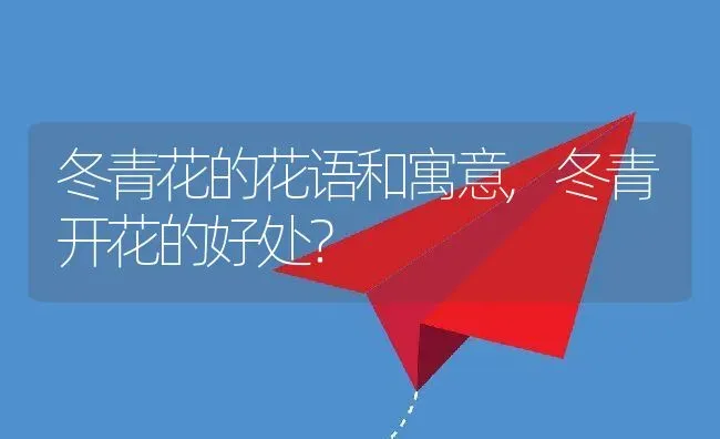 冬青花的花语和寓意,冬青开花的好处？ | 养殖常见问题