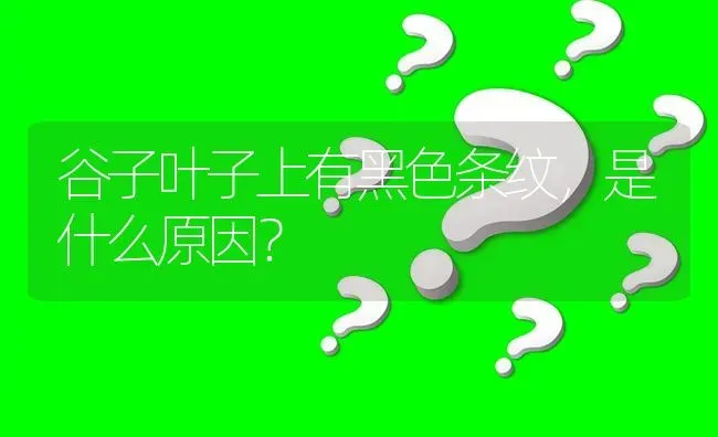 谷子叶子上有黑色条纹,是什么原因? | 养殖问题解答