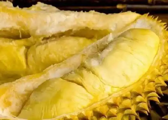 植物常识问题|榴莲的功效与作用