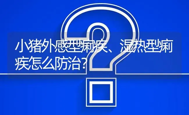 小猪外感型痢疾、湿热型痢疾怎么防治? | 养殖问题解答