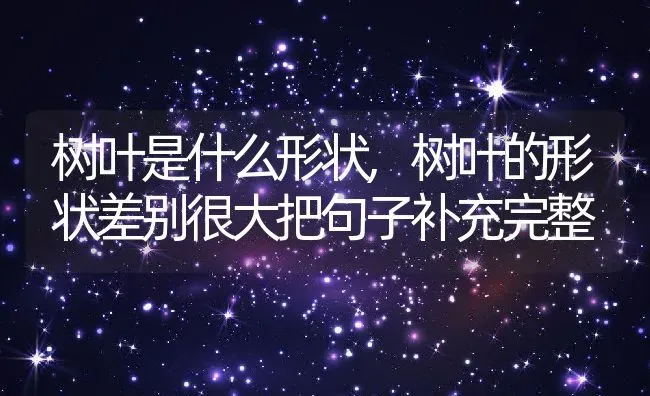 树叶是什么形状,树叶的形状差别很大把句子补充完整 | 养殖常见问题