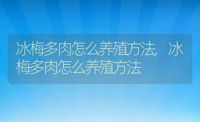 冰梅多肉怎么养殖方法,冰梅多肉怎么养殖方法 | 养殖常见问题