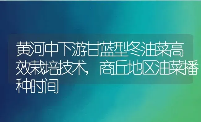 黄河中下游甘蓝型冬油菜高效栽培技术,商丘地区油菜播种时间 | 养殖常见问题