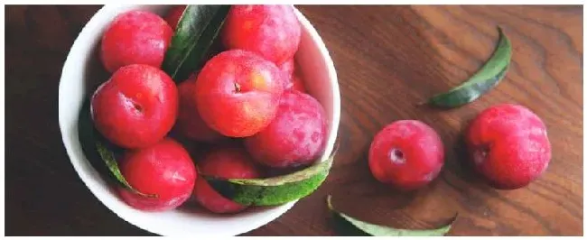 钙果树什么时候剪枝 | 农业答疑