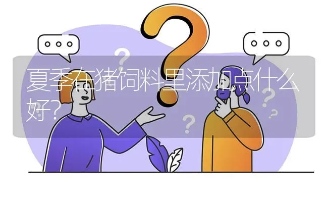 夏季在猪饲料里添加点什么好? | 养殖问题解答