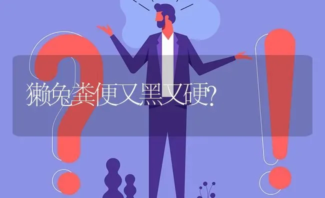 獭兔粪便又黑又硬? | 养殖问题解答
