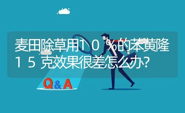 麦田除草用10％的苯黄隆15克效果很差怎么办? | 养殖问题解答