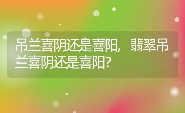 吊兰喜阴还是喜阳,翡翠吊兰喜阴还是喜阳？ | 养殖常见问题