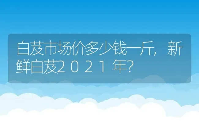 白芨市场价多少钱一斤,新鲜白芨2021年？ | 养殖常见问题