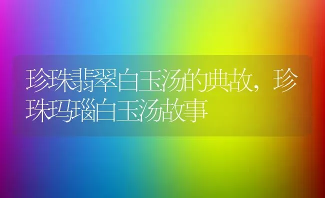 珍珠翡翠白玉汤的典故,珍珠玛瑙白玉汤故事 | 养殖常见问题