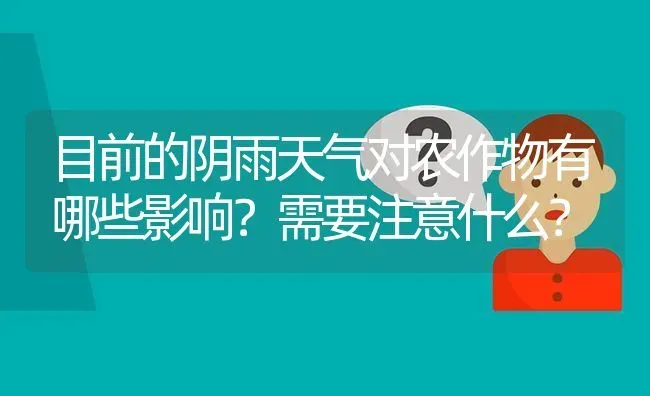 目前的阴雨天气对农作物有哪些影响?需要注意什么? | 养殖问题解答