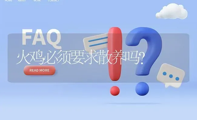 火鸡必须要求散养吗? | 养殖问题解答