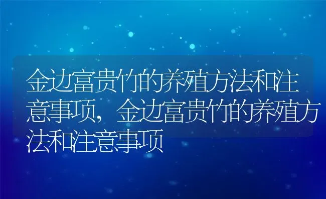 金边富贵竹的养殖方法和注意事项,金边富贵竹的养殖方法和注意事项 | 养殖常见问题