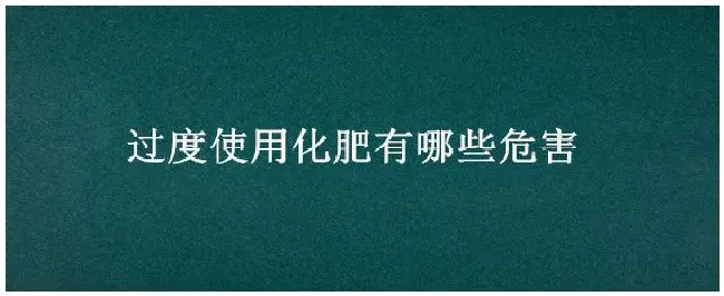 过度使用化肥有哪些危害 | 农业问题