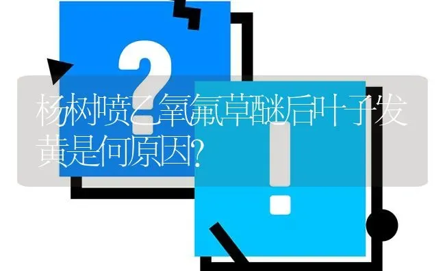 杨树喷乙氧氟草醚后叶子发黄是何原因? | 养殖问题解答