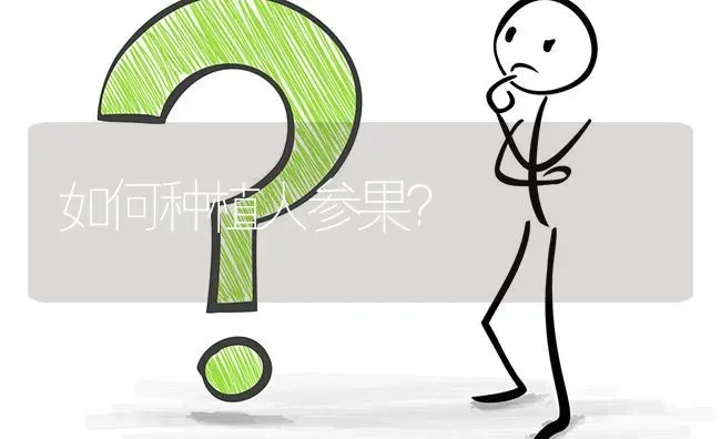 如何种植人参果? | 养殖问题解答