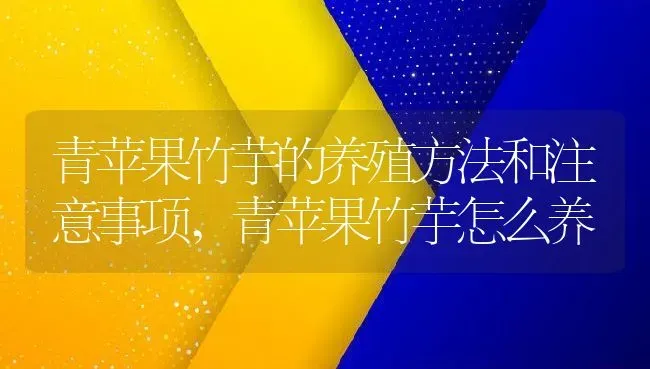 青苹果竹芋的养殖方法和注意事项,青苹果竹芋怎么养 | 养殖常见问题