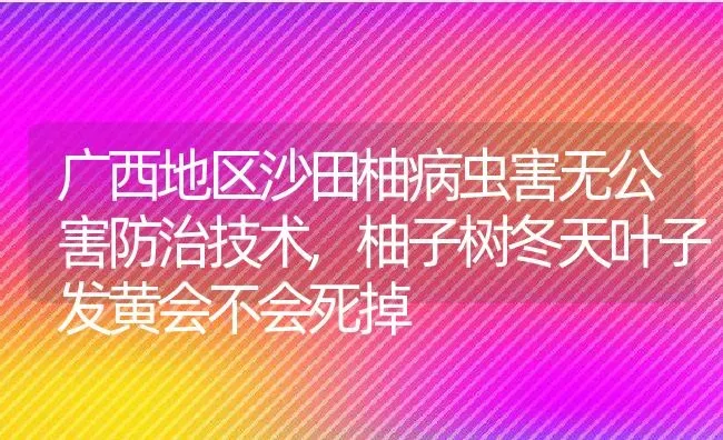 广西地区沙田柚病虫害无公害防治技术,柚子树冬天叶子发黄会不会死掉 | 养殖常见问题