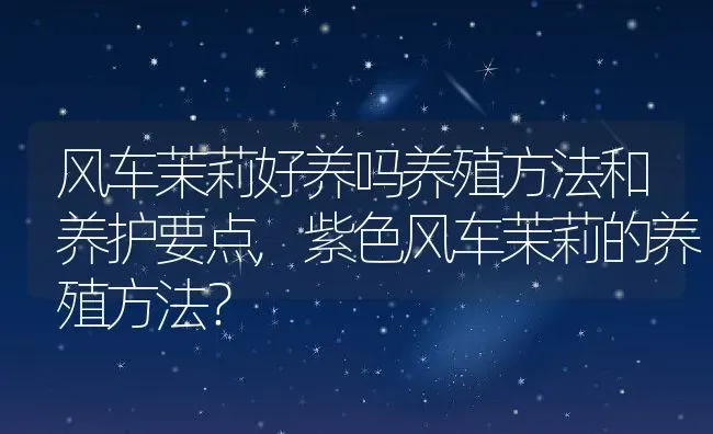 风车茉莉好养吗养殖方法和养护要点,紫色风车茉莉的养殖方法？ | 养殖常见问题