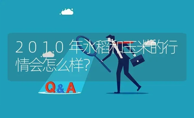 2010年水稻和玉米的行情会怎么样? | 养殖问题解答