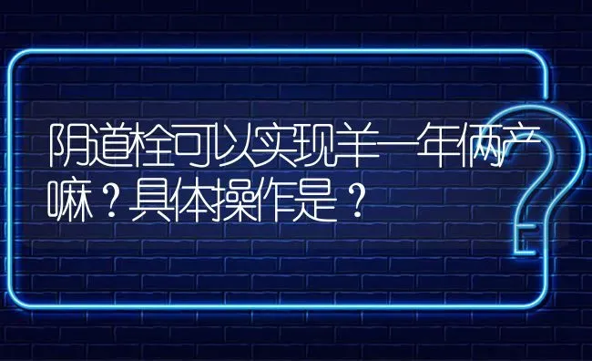 阴道栓可以实现羊一年俩产嘛?具体操作是? | 养殖问题解答