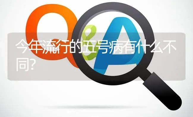 今年流行的五号病有什么不同? | 养殖问题解答